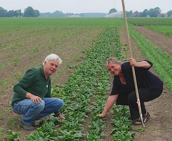 De Zaderij